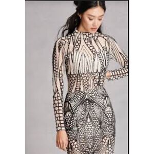 Sequin Embellished Dress